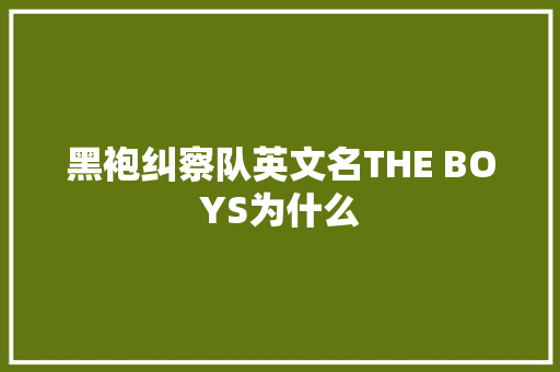 黑袍纠察队英文名THE BOYS为什么