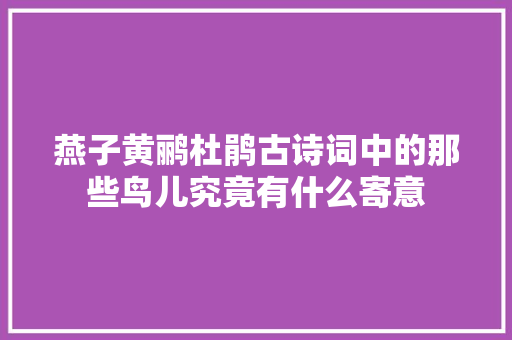 燕子黄鹂杜鹃古诗词中的那些鸟儿究竟有什么寄意