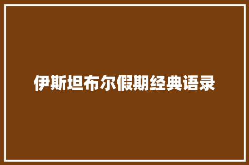 伊斯坦布尔假期经典语录