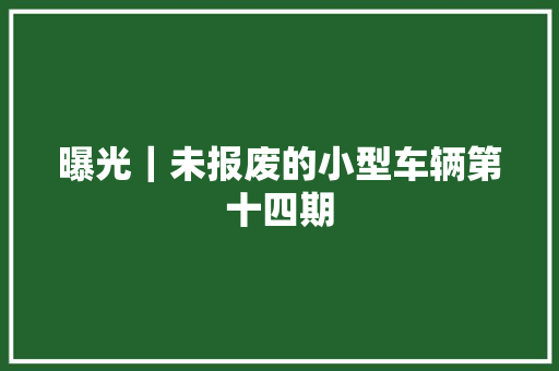 曝光｜未报废的小型车辆第十四期