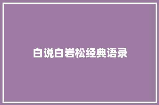 白说白岩松经典语录