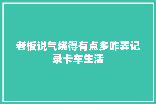 老板说气烧得有点多咋弄记录卡车生活