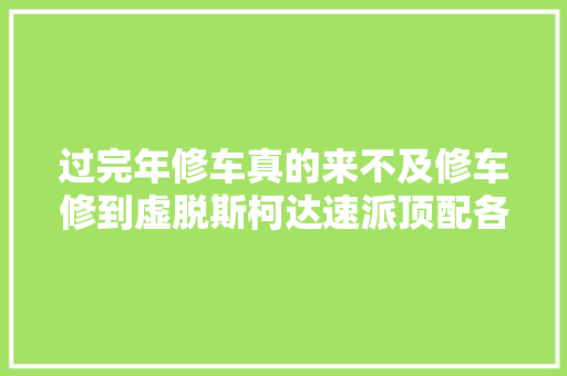 过完年修车真的来不及修车修到虚脱斯柯达速派顶配各类故障码