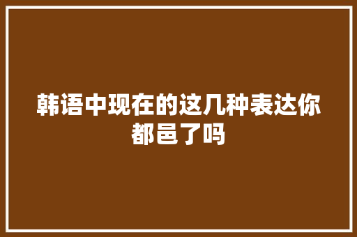 韩语中现在的这几种表达你都邑了吗