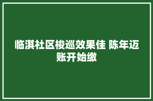 临淇社区梭巡效果佳 陈年迈账开始缴