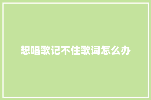 想唱歌记不住歌词怎么办