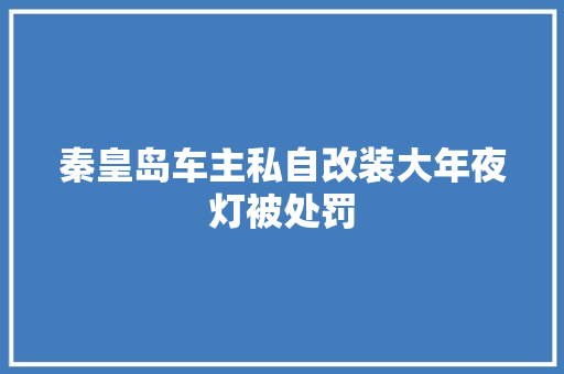 秦皇岛车主私自改装大年夜灯被处罚