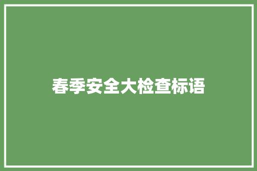 春季安全大检查标语