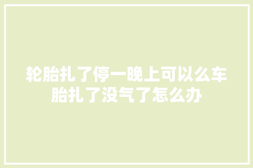 轮胎扎了停一晚上可以么车胎扎了没气了怎么办