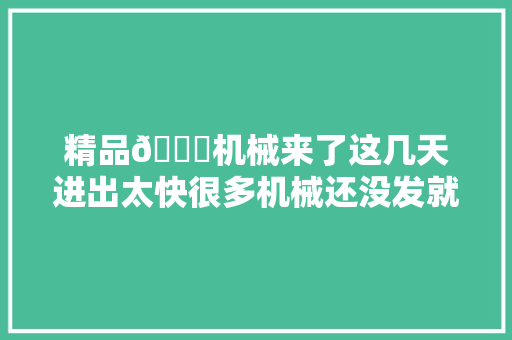 精品🍎机械来了这几天进出太快很多机械还没发就出了😂