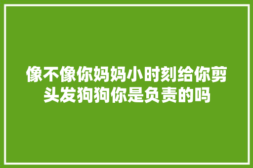像不像你妈妈小时刻给你剪头发狗狗你是负责的吗