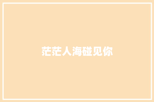茫茫人海碰见你