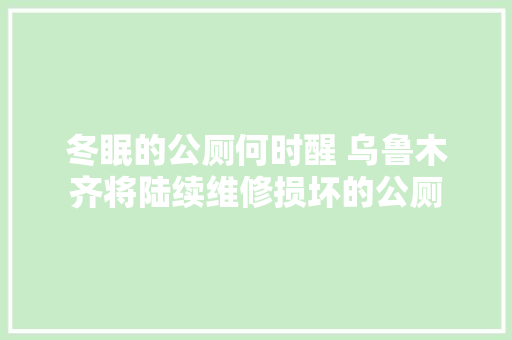 冬眠的公厕何时醒 乌鲁木齐将陆续维修损坏的公厕