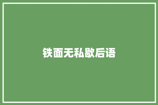 铁面无私歇后语
