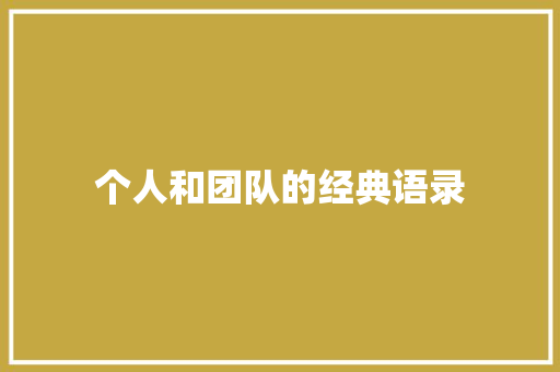 个人和团队的经典语录