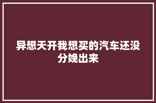 异想天开我想买的汽车还没分娩出来