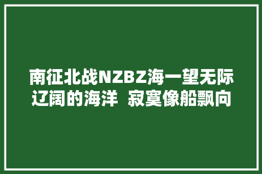 南征北战NZBZ海一望无际辽阔的海洋  寂寞像船飘向远方