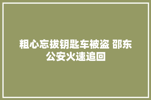 粗心忘拔钥匙车被盗 邵东公安火速追回