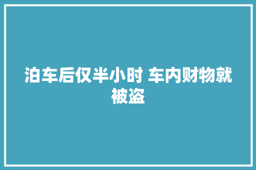 泊车后仅半小时 车内财物就被盗 汽车知识