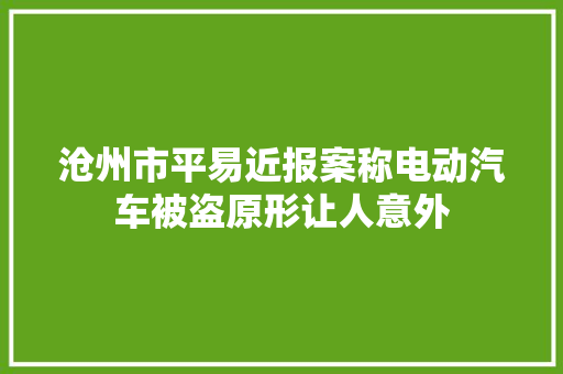 沧州市平易近报案称电动汽车被盗原形让人意外