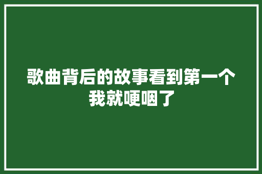 歌曲背后的故事看到第一个我就哽咽了
