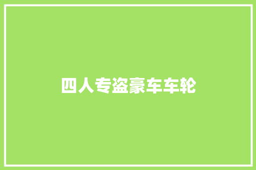 四人专盗豪车车轮