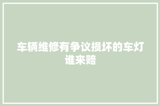 车辆维修有争议损坏的车灯谁来赔