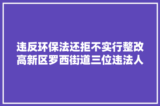 违反环保法还拒不实行整改高新区罗西街道三位违法人被抓获