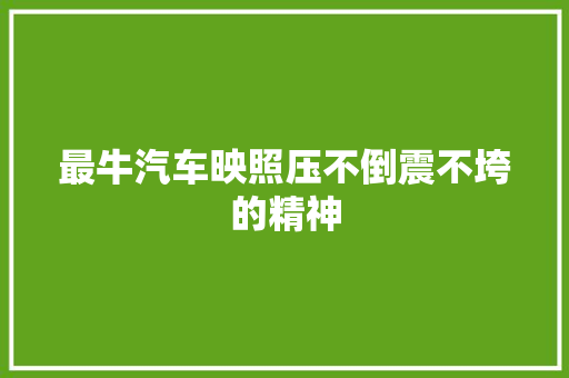 最牛汽车映照压不倒震不垮的精神