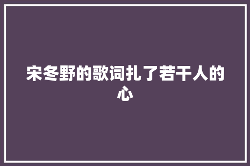 宋冬野的歌词扎了若干人的心