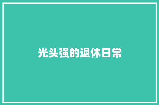 光头强的退休日常