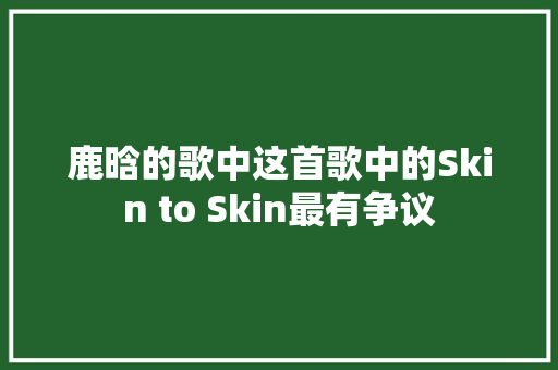 鹿晗的歌中这首歌中的Skin to Skin最有争议