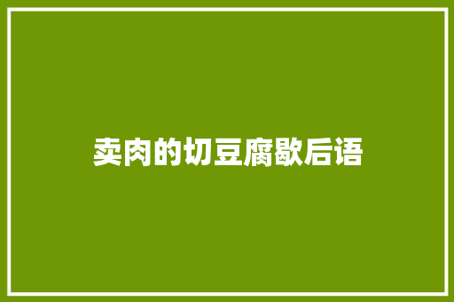 卖肉的切豆腐歇后语