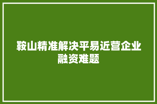 鞍山精准解决平易近营企业融资难题