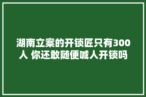 湖南立案的开锁匠只有300人 你还敢随便喊人开锁吗