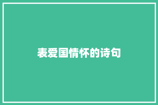 表爱国情怀的诗句