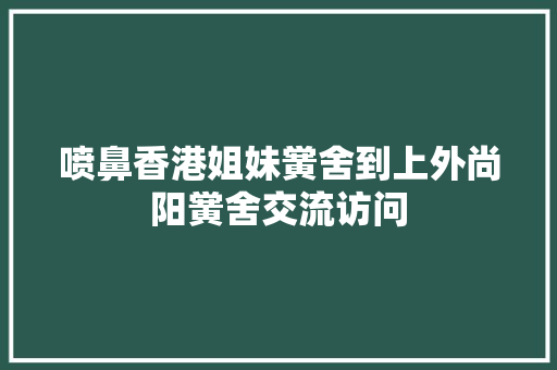 喷鼻香港姐妹黉舍到上外尚阳黉舍交流访问
