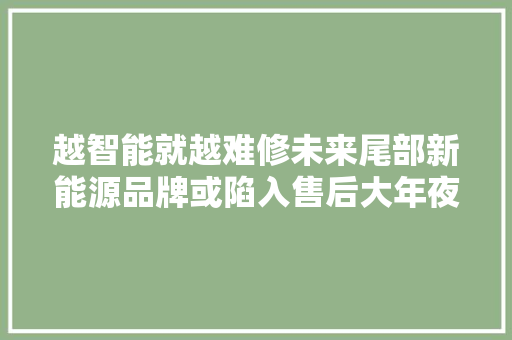 越智能就越难修未来尾部新能源品牌或陷入售后大年夜坑