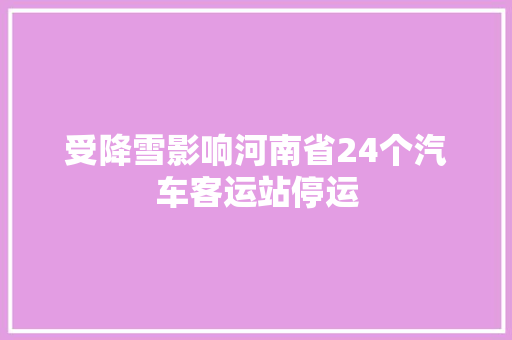 受降雪影响河南省24个汽车客运站停运