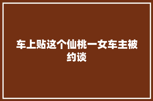 车上贴这个仙桃一女车主被约谈