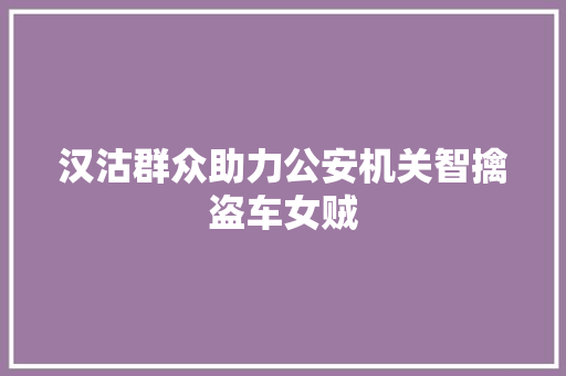 汉沽群众助力公安机关智擒盗车女贼