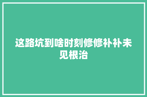 这路坑到啥时刻修修补补未见根治