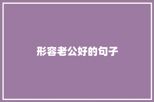 形容老公好的句子