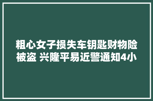 粗心女子损失车钥匙财物险被盗 兴隆平易近警通知4小时物归原主受赞美