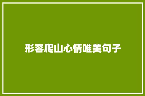 形容爬山心情唯美句子