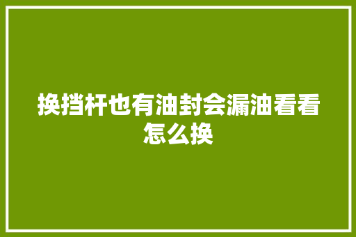 换挡杆也有油封会漏油看看怎么换