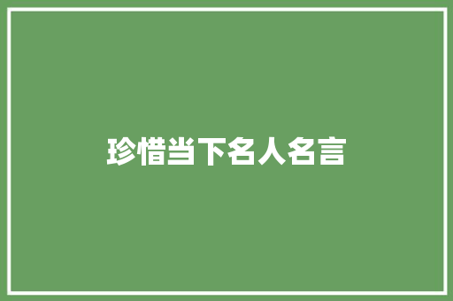 珍惜当下名人名言