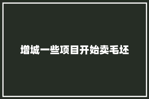 增城一些项目开始卖毛坯