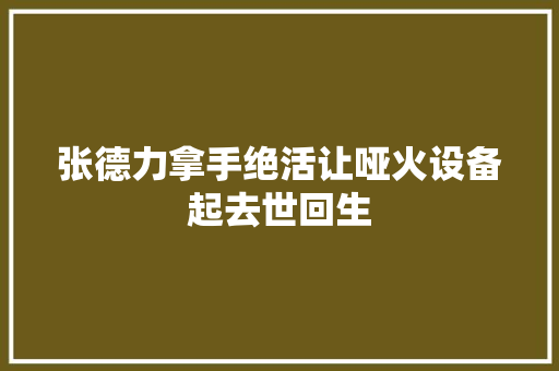 张德力拿手绝活让哑火设备起去世回生