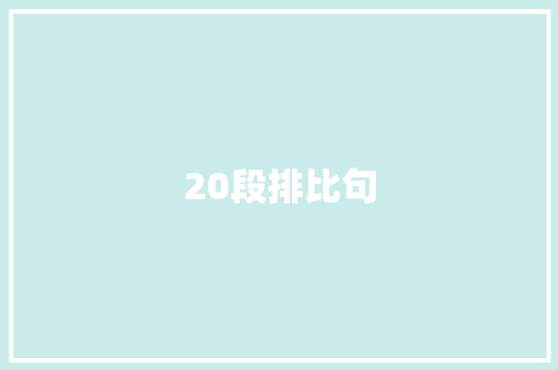 20段排比句